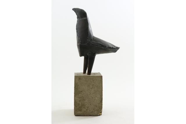 Vogel